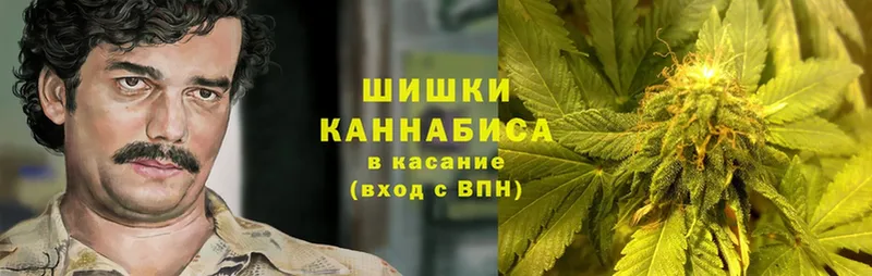 гидра вход  Балей  МАРИХУАНА White Widow 